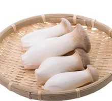 High-quality Pleurotus eryngii