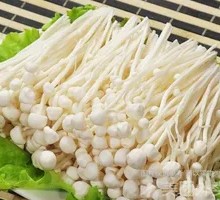 Enoki Mushroom