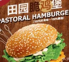 Crispy Garden Chicken Burger