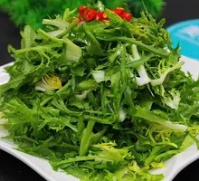 Mixed bitter lettuce salad