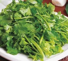 Cilantro