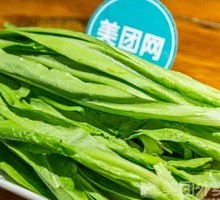 Oilseed lettuce