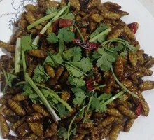 Spicy Stir-Fried Silkworm Pupae
