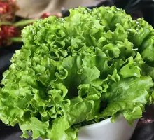 Lettuce