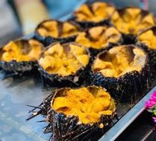 Fresh Sea Urchin