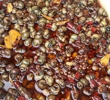 Spicy Preserved Snail
