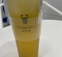 Dragon Sprout Jasmine Green