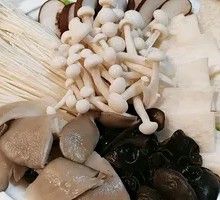 Mixed Mushroom Salad