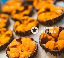 Fresh Horse Manure Sea Urchin