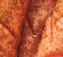 Large Starch Sausage