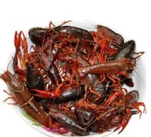 Fresh Water Crawfish