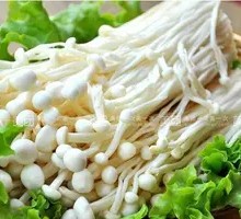 Enoki Mushroom