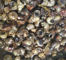 Spicy Stir-Fried Snails