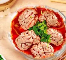 Sheep Brain