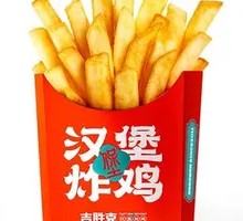Golden Crispy Fries