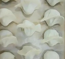 Vegetable Dumplings