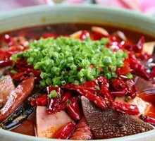 Chongqing Maoxuewang