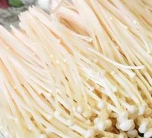 Enoki Mushroom