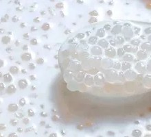 Coconut Milk Sago Dessert