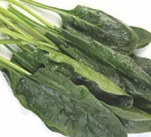 Spinach