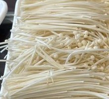 Enoki Mushroom