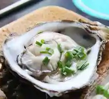 Grilled Oysters