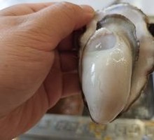Rushan Oyster