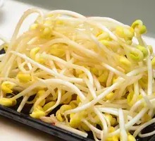 Bean sprouts