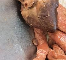 Braised Pork Intestines