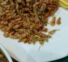 Country Small River Shrimp