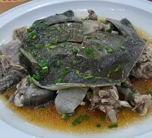 Steamed Softshell Turtle
