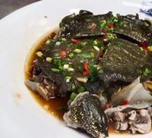 Steamed Softshell Turtle