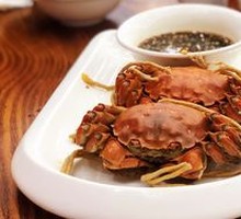 Female Freshwater Crab