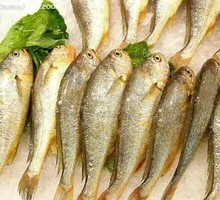 Pan-fried Yellow Croaker