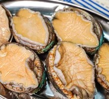 Fresh Abalone