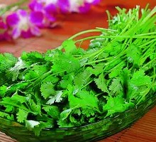 Cilantro Cloud Threads