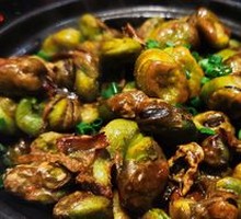 Braised Broad Beans in Clay Pot
