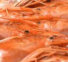 Grilled Large Shrimp