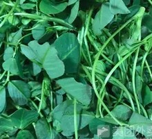 Soy Sauce Herbed Greens