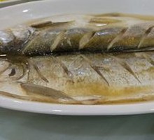 White Water Fish