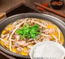 Chicken Stock Mushroom Frog