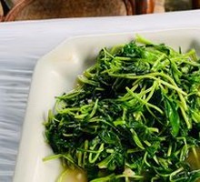 Stir-Fried Malan Head