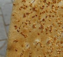 Tibetan Buckwheat Flatbread