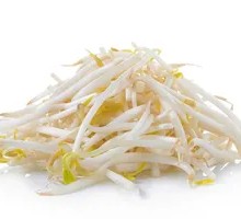 Mung Bean Sprouts