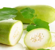 Winter Melon