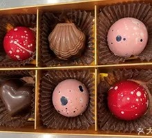 Codex Starlight Chocolate Hazelnut Flavor