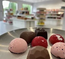 Codex Starry Chocolate