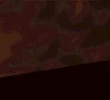 Shrimp and Eel Stir-fry