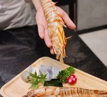 East China Sea Giant Shrimp