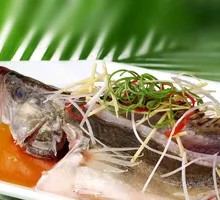 Steamed Sea Bass with Scallion Oil